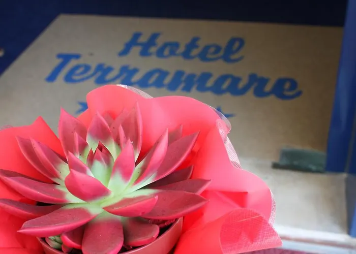 Otel Terramare Lido di Jesolo