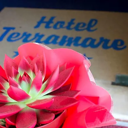 Terramare 3*
