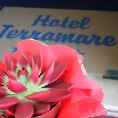 Ξενοδοχείο Terramare Τζεσόλο Λίντο